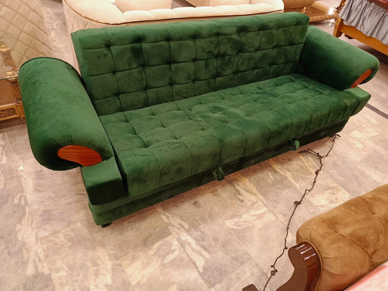 Verdant Dream Sofa Cum Bed
